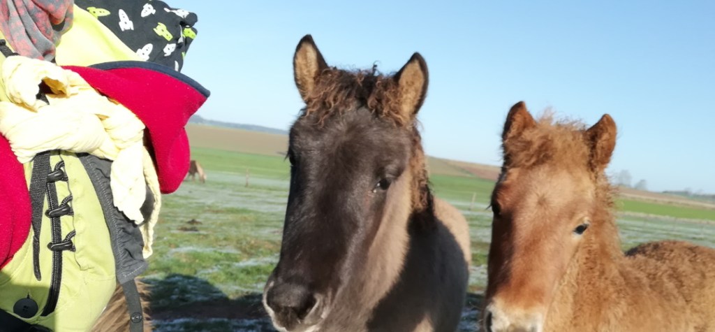 Regina: „Ohne Windel gibt mein Baby deutlichere Windelfrei&nbsp;Signale“