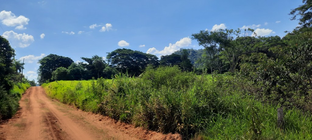 Windelfrei in Paraguay auf windelfreibaby.de