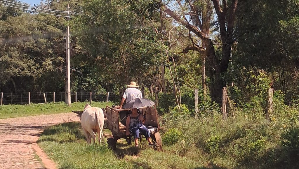 Paraguay ist ein Land mit Traditionen und industriellem Einfluss