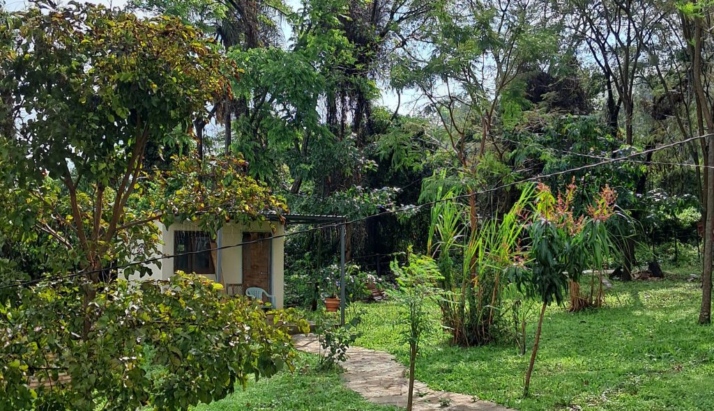 Leben in Paraguay, (c) Goshena