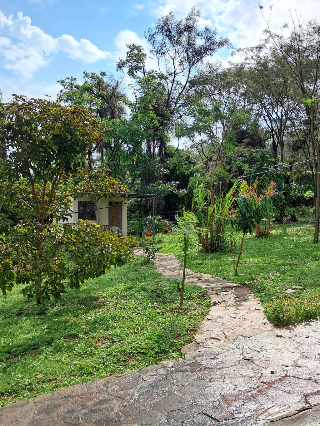 Windelfrei in Paraguay, auf windelfreibaby.de